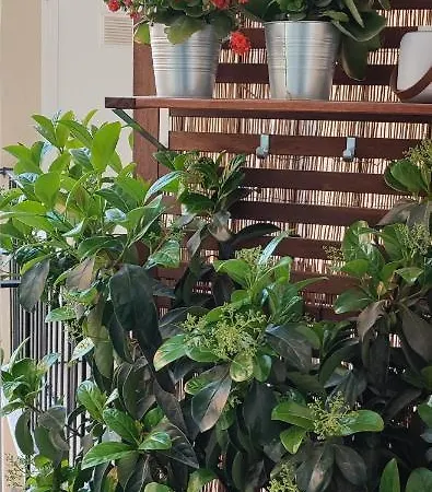 Traiano Luxury Apartment *