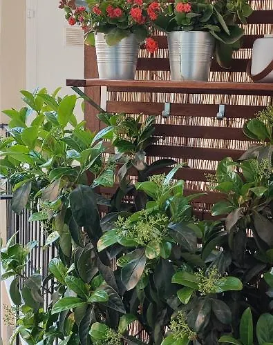 Traiano Luxury Apartament *